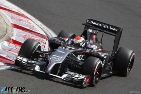 Adrian Sutil, Sauber, Hungaroring, Hungary, 2014